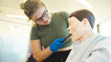 Eine Person mit Brille und Handschuhen führt eine zahnärztliche Untersuchung an einem Übungspuppenmodell durch.